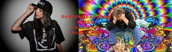 МДПВ Абаза